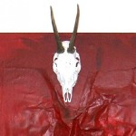 2004_09_xx_cci-zauberreh_1a