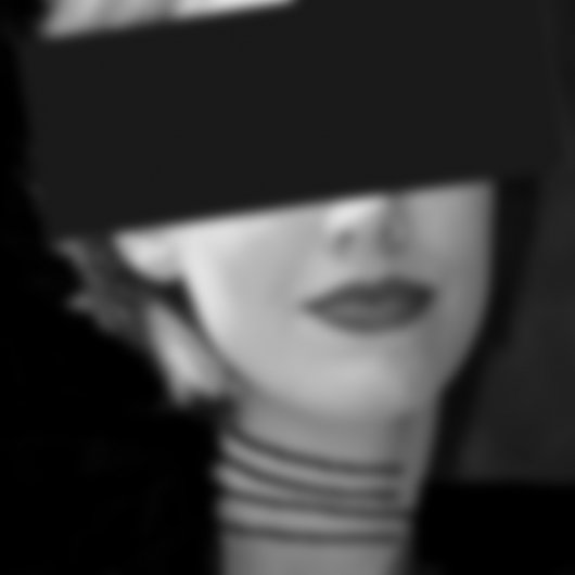 2003_11_07_hs-portraet-der-dominique-vie-p5e-sw___unscharf